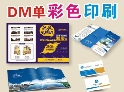 温州单页印刷，色彩搭配简单。